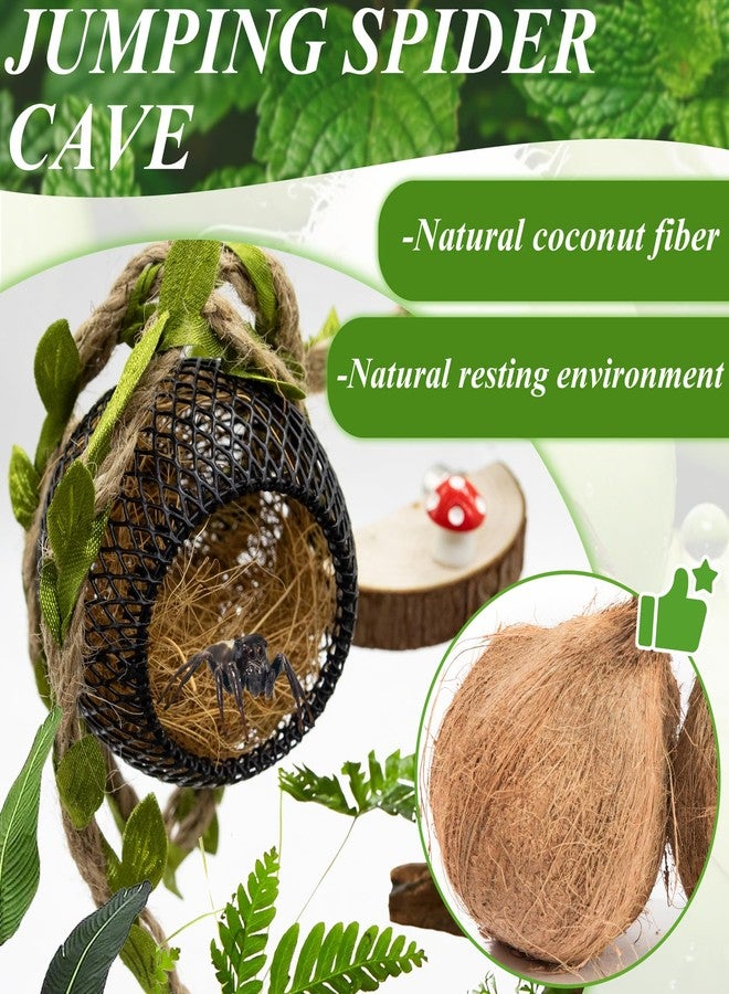 Niuohoy Jumping Spider Habitat Accessories Enclosure Habitat Accessories Jumping Spider Web Climbing and Feeding Platforms with Magnets for Small Insects Critters - Image 3